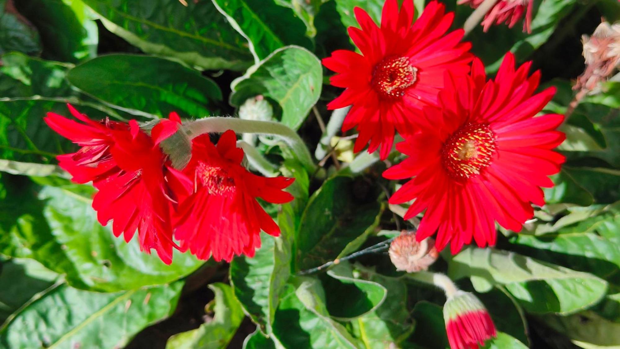 Wainui Bush Retreat Homestay *